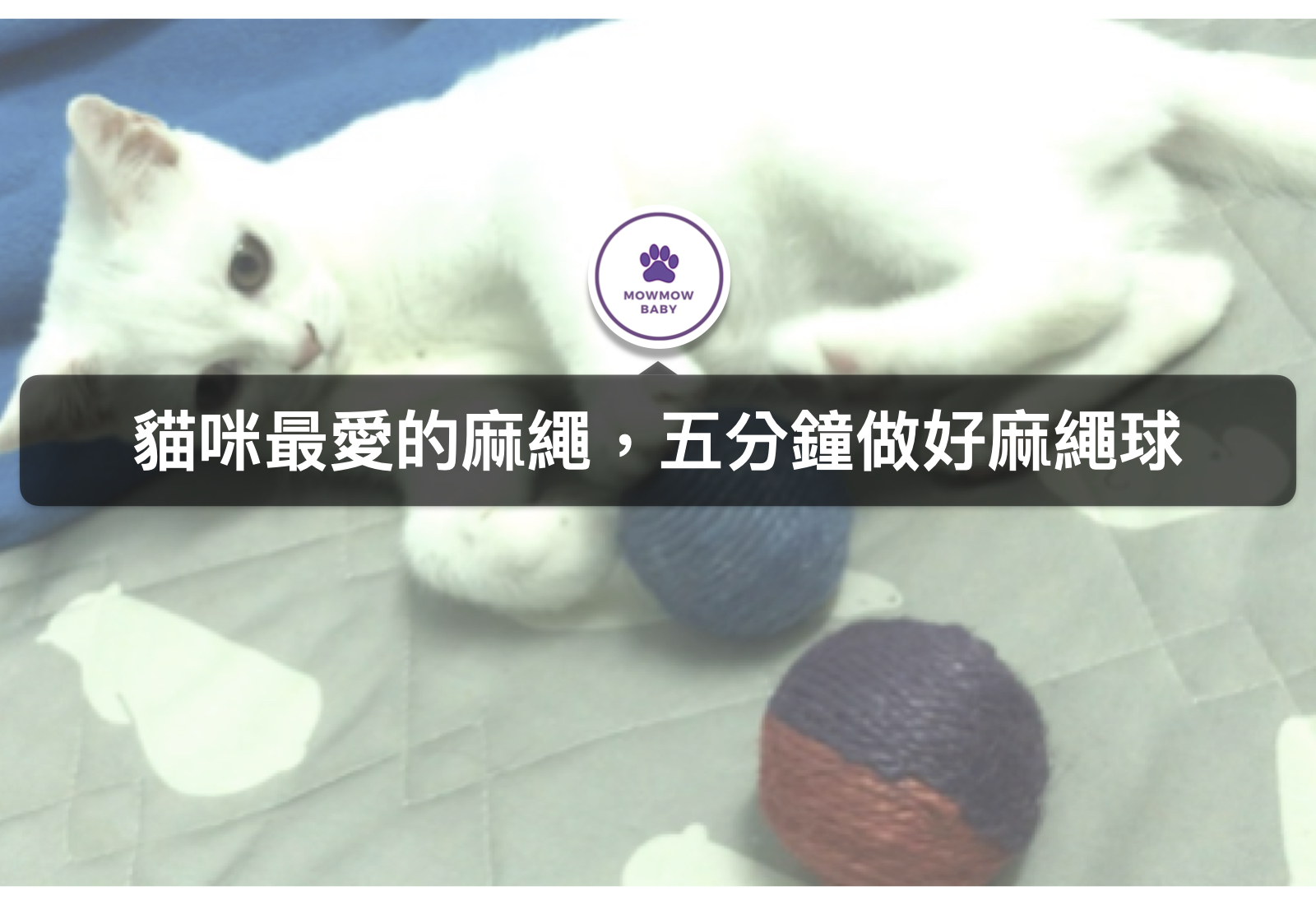 簡單四步驟自製貓玩具麻繩球｜DIY小教室