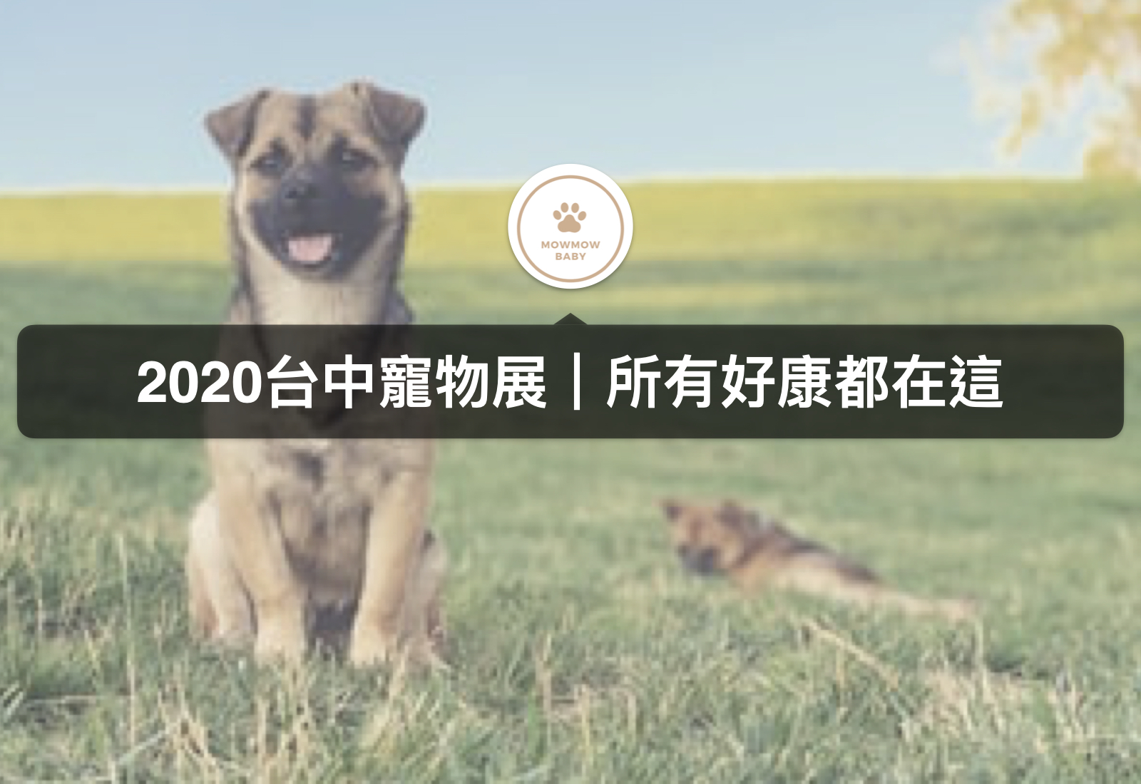 2020台中寵物用品暨服務展｜寵物展免費門票好康相關資訊