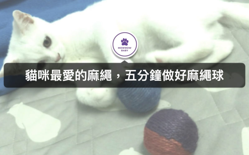 簡單四步驟自製貓玩具麻繩球｜DIY小教室