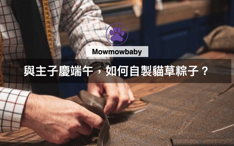 DIY小教室｜教你如何自製貓草粽子？