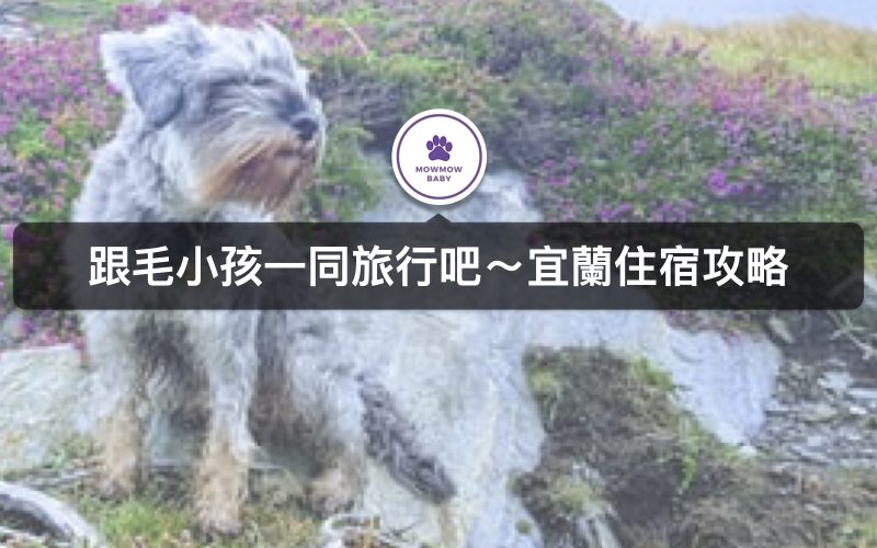 2020宜蘭寵物旅遊｜寵物住宿攻略