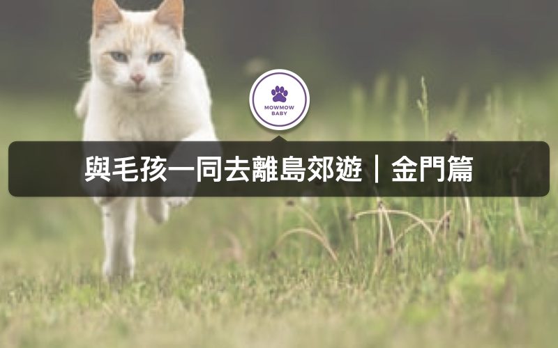 2020寵物旅遊｜金門寵物住宿篇