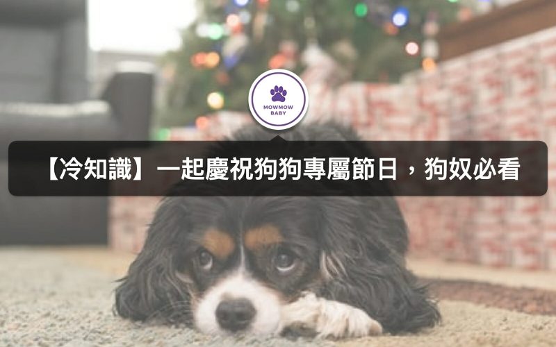 狗也有專屬寵物節日？台灣狗狗節你有聽過嗎？