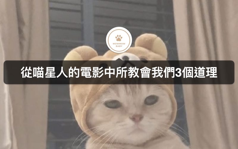 3部跟貓有關的日本電影，告訴我們人生的道理