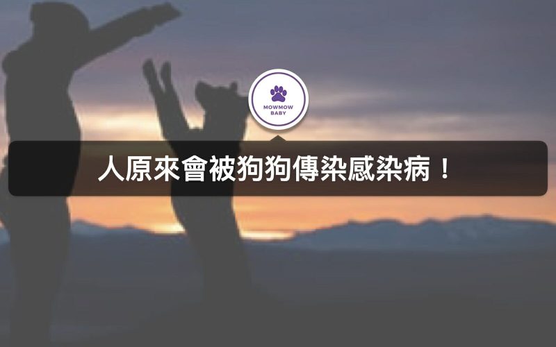 狂犬病除了狗人也會傳染？狂犬病人跟狗會出現哪些症狀呢？