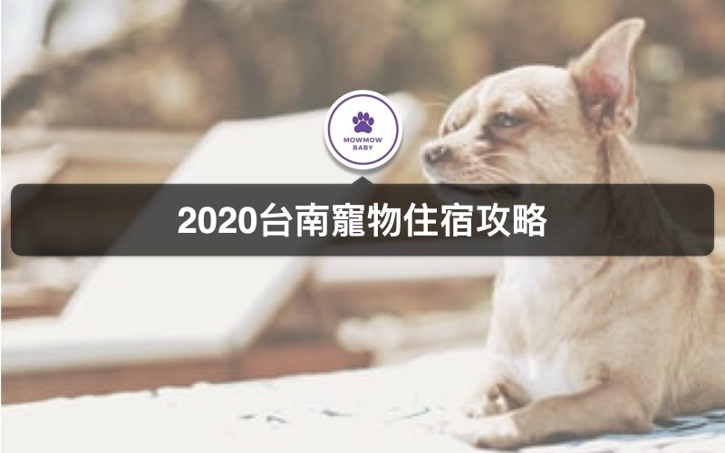 台南寵物友善住宿帶著寵物旅遊去