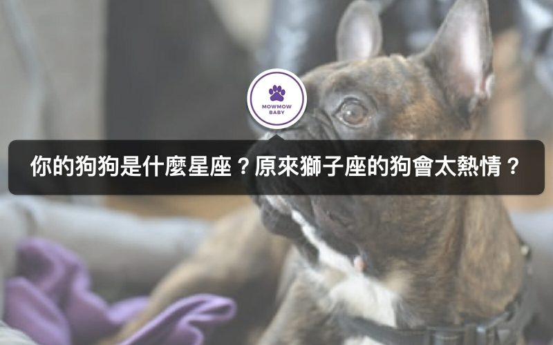 狗的性格可以從星座來解析？