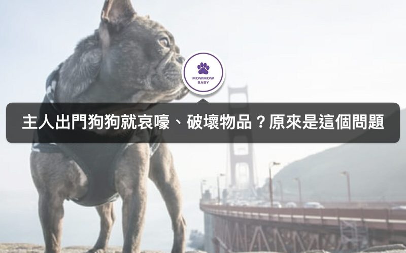 狗狗分離焦慮症—寵物分離焦慮症會有哪些症狀？