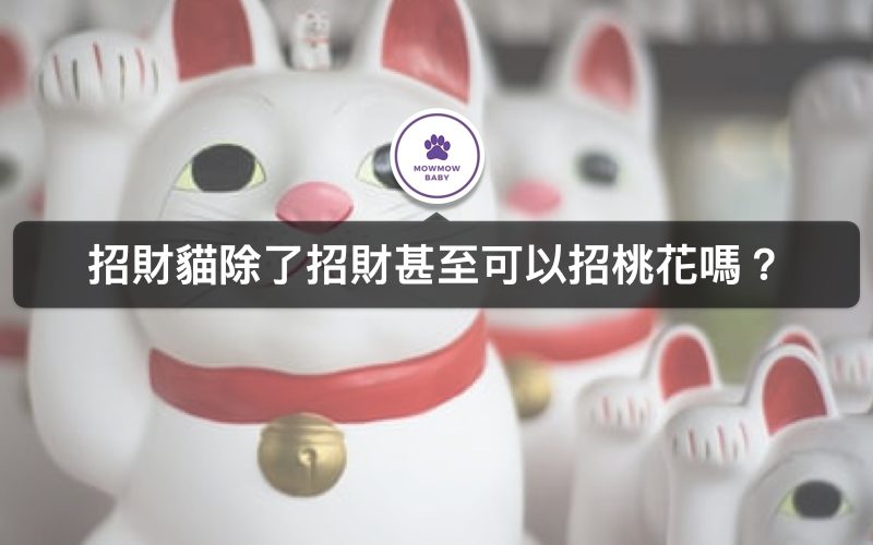 招財貓擺飾能使貓招財又招福？|招財貓手勢有講究