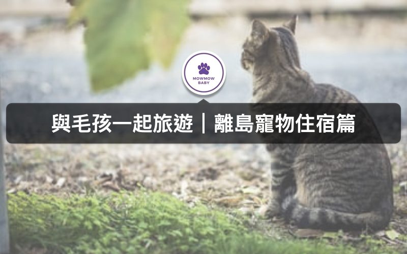 2020寵物旅遊｜離島寵物住宿攻略